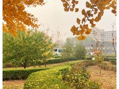 -河北工业大学(北辰校区)