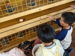 -呼和浩特市老牛儿童探索馆