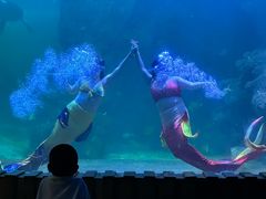 -左海海底世界