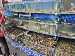 水产区-蟹谢蒸鲜自助餐厅