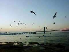 -星海湾跨海大桥