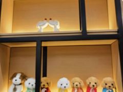 -泰平丽锦酒店(成都太古里春熙路店)