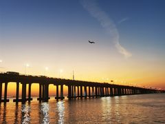 -宝安西湾红树林湿地公园