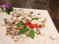 -梁溪河畔·吉府花园(南长街南下塘店)