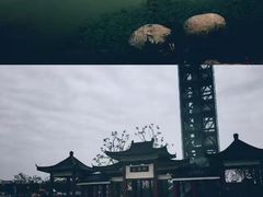 -八大山人梅湖景区