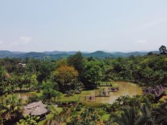 -中国科学院西双版纳热带植物园