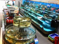-强记海鲜·大排档(蛇口新街店)