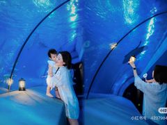 -太平洋海底世界