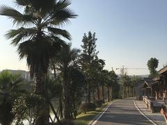 -枫香湖儿童公园