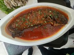 黄河鲤鱼-老毛手抓·盐池滩羊非遗手抓(宁夏总店)