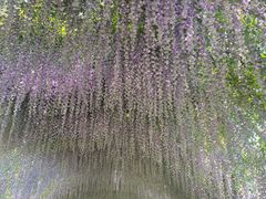 -同里国家湿地公园