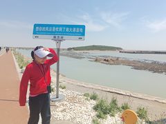 -南大港湿地风景区