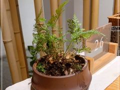 -竹里馆·淮扬菜·功夫茶(老门东店)