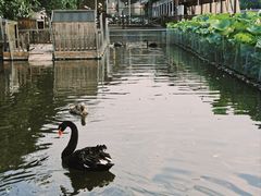 -荷塘味道(水长城店)