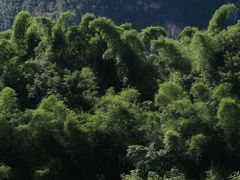 -桂林兴坪漓江
