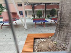 -广州市越秀区育才实验学校