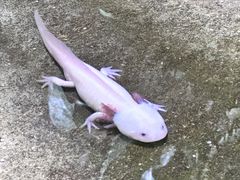 -青青世界