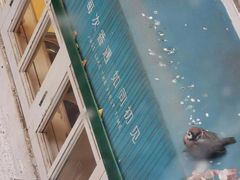 -老味道(田子坊店)