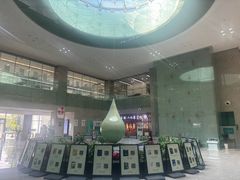 -金陵图书馆