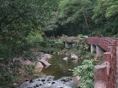 -广州市石门国家森林公园