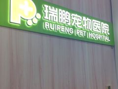 -瑞鹏宠物医院·微创内窥镜·骨外科·牙科(翠竹分院)
