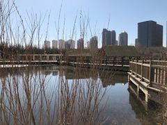 -成吉思汗公园