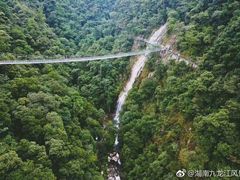 -九龙江国家森林公园