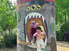 -合肥滨湖国家森林公园