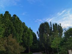 -北京西山国家森林公园