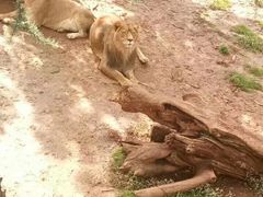 -昆明动物园