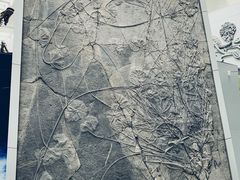 -中国地质大学逸夫博物馆