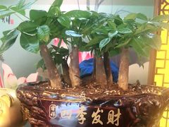 -莱仪堂艾灸经络养生馆(九亭一店)