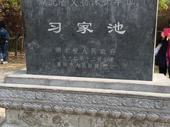 -习家池