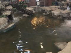 -森谷美食公园(杨行店)