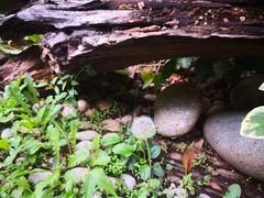 -丽江花间堂·隐泉院