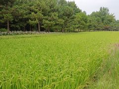 -北坞公园