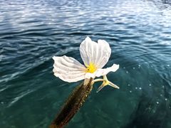 -丽江泸沽湖景区