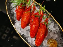 -曙亚洲餐厅-重庆富力艾美酒店(南坪万达广场店)