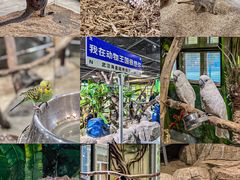 -海合安武汉极地海洋公园