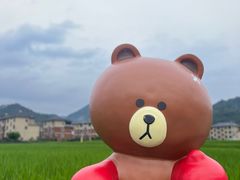 -雅鲁激流探险漂流