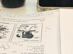 -新东方国际教育·雅思托福(裕德路校区)