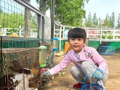 -前小桔亲子创意农场·草莓采摘·露营烧烤