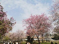 -洲头咀公园