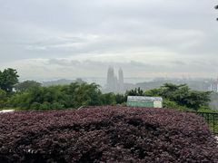 -花柏山公园