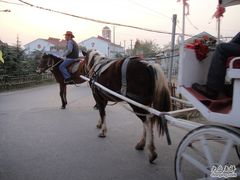 马车-苏州太湖牛仔风情度假村