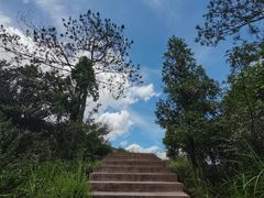 -冠豸山景区