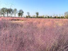 -汉长安城未央宫国家考古遗址公园