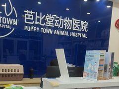 -芭比堂动物医院·24小时·眼科中心(深圳中心)