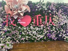 -重庆十八梯传统风貌区