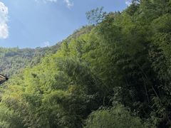 -东天目山风景区